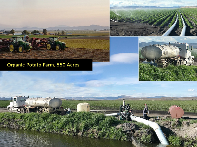 Potato farm crops with a truck delivering a load of Mineral Max nutrient biostimulant