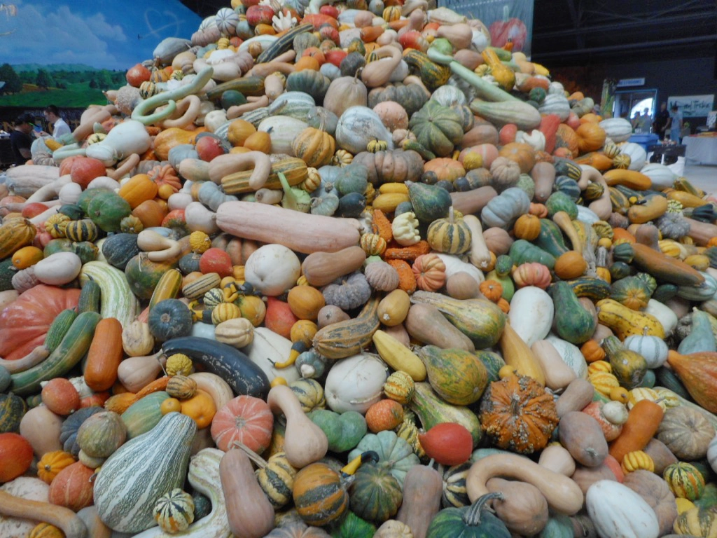 A pile of hundreds of squash, gourds, and similar produce bounty