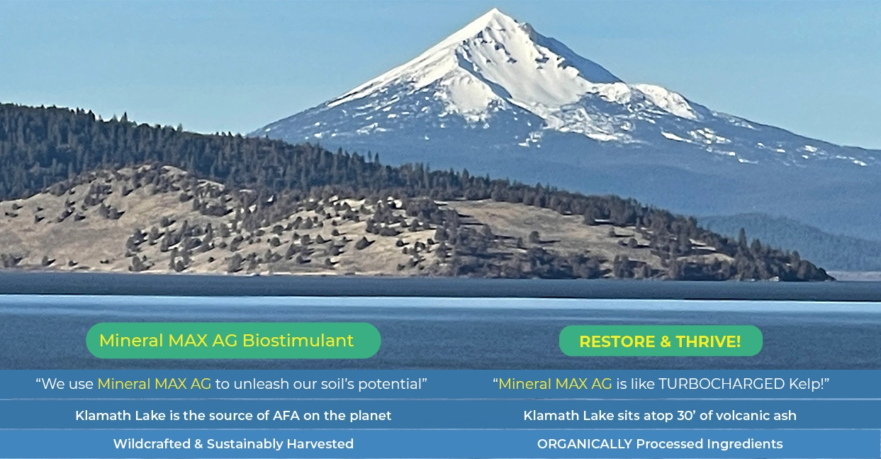 Klamath Lake with Walker Mountain in the background. Overlaid on the photo are two one sentence testimonials about Mineral Max, info on Klamath Lake - the source of AFA and that it sits atop 30' of volcanic ash, and that the blue-green algae used in Mineral Max is wildcrafted, sustainably harvested, and has organically processed ingredients.