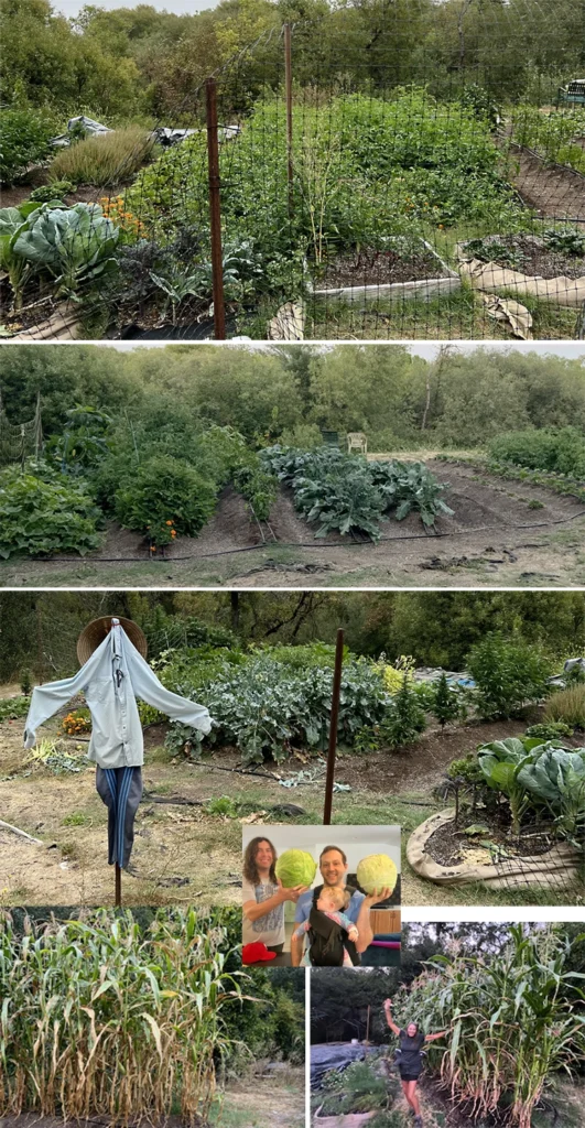 farm crops