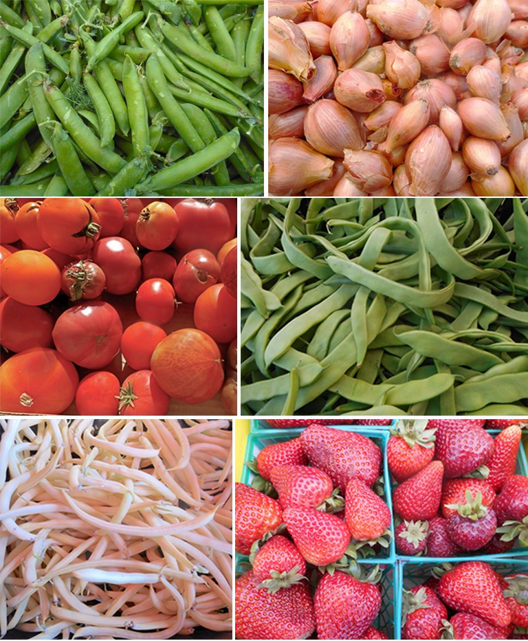 Borba Family Farms crops farm crops