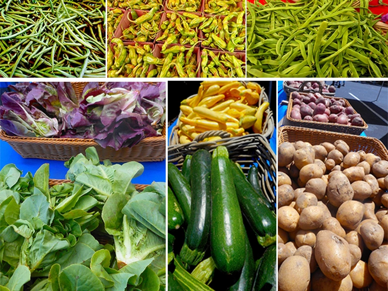 Groundswell Farm Produce, Santa Cruz, CA farm crops