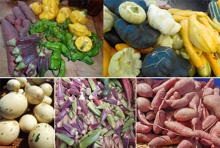 Sky to Sea Farm Beautiful Produce farm produce