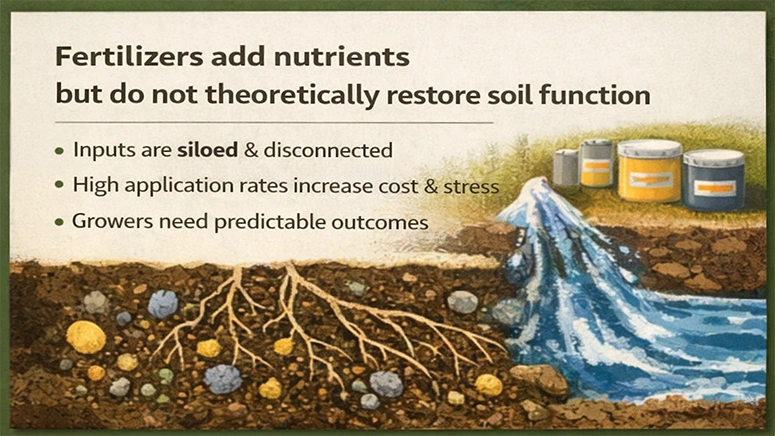 Presentation slide 4