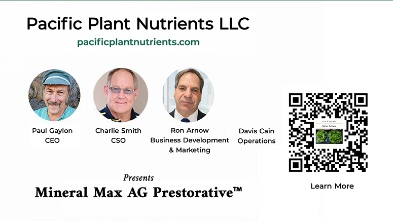 Presentation slide 1