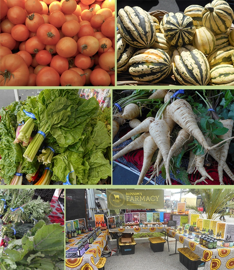 Blossom's Farm, Aromas, CA Farm produce and store