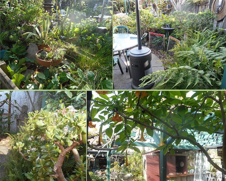 Restaurant Garden assorted plants