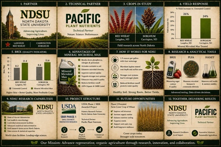 Field Project Infographic