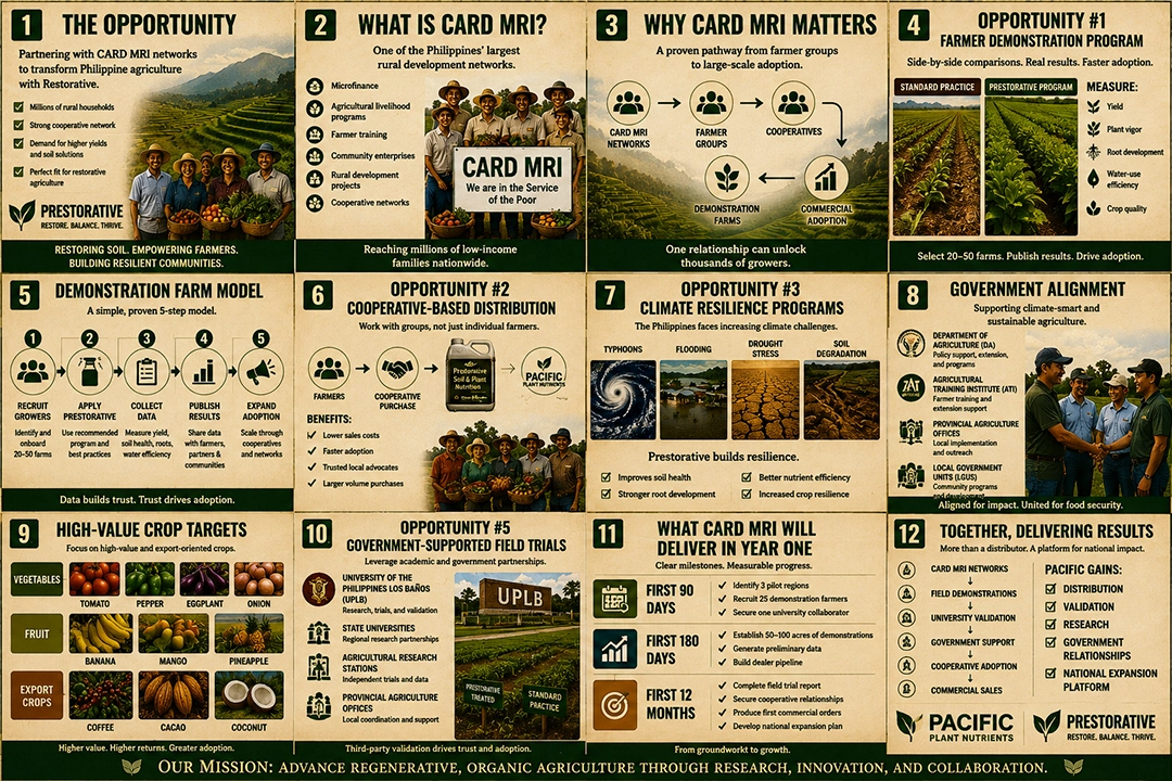 Project infographic