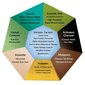 Chart of Ingredients