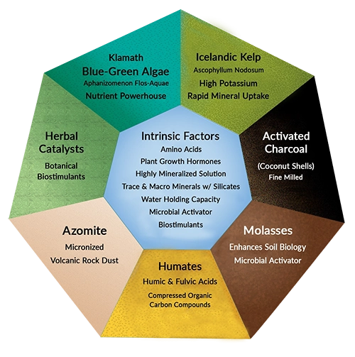 Chart of Ingredients