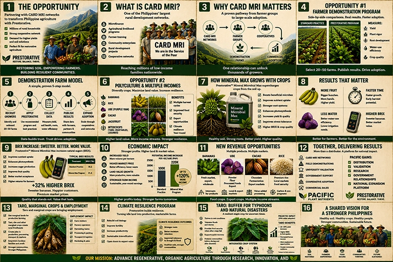 Project Infographic