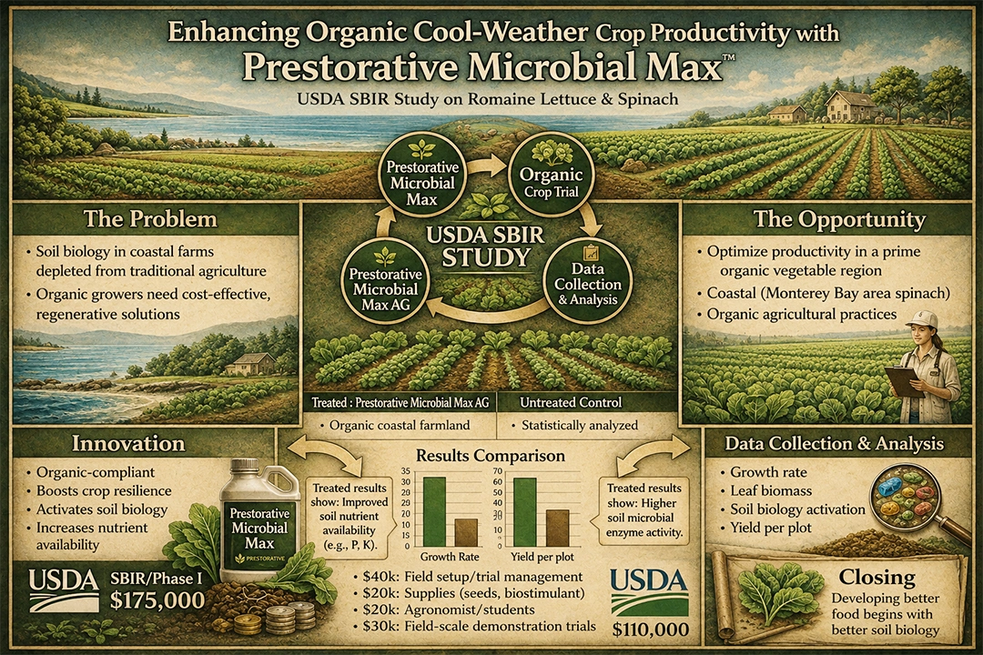 Project infographic