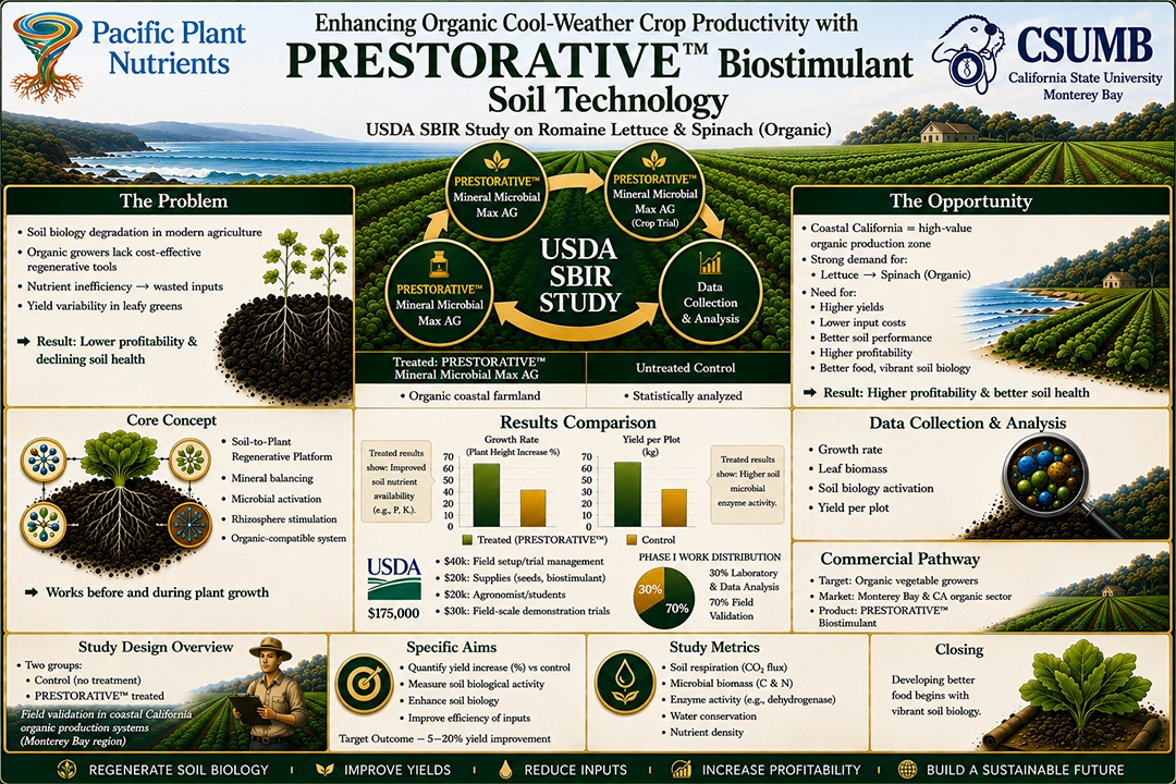 project infographic