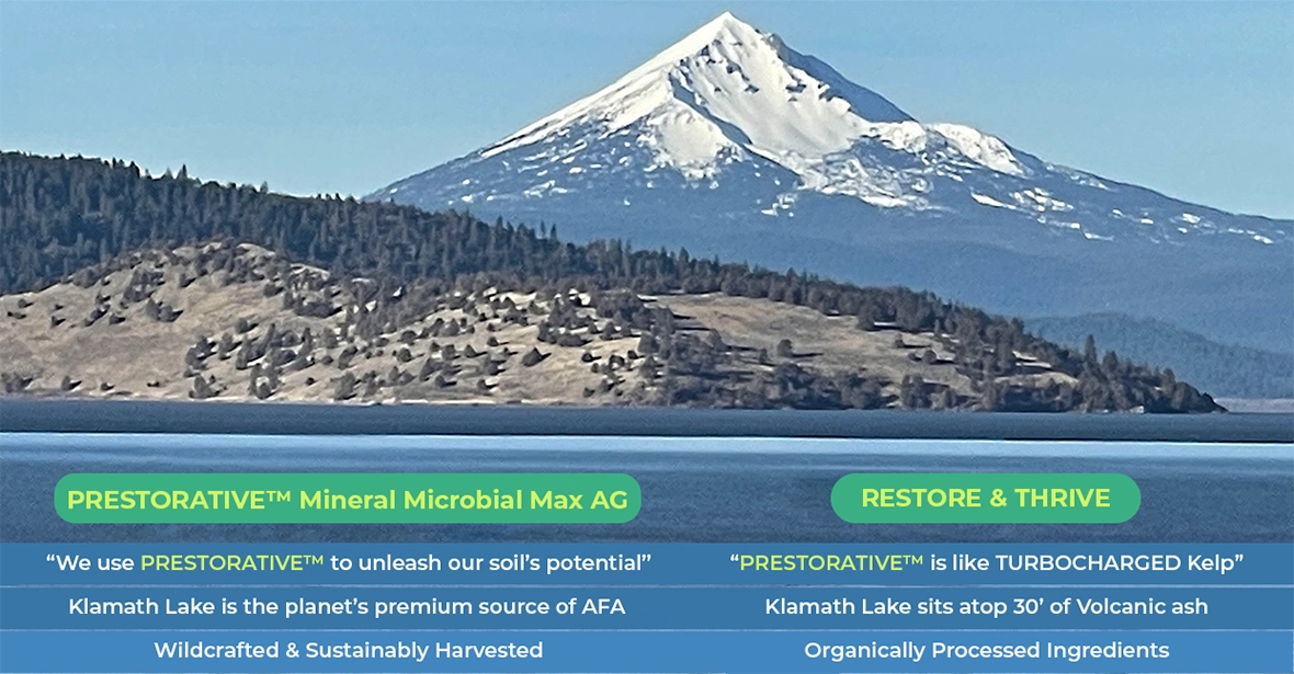 Klamath Lake Oregon: Premium Source of AFA Lake with product info