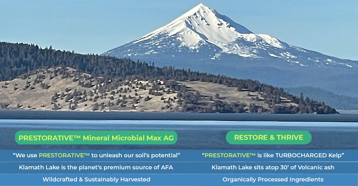 Klamath Lake — Source of AFA Lake with product info