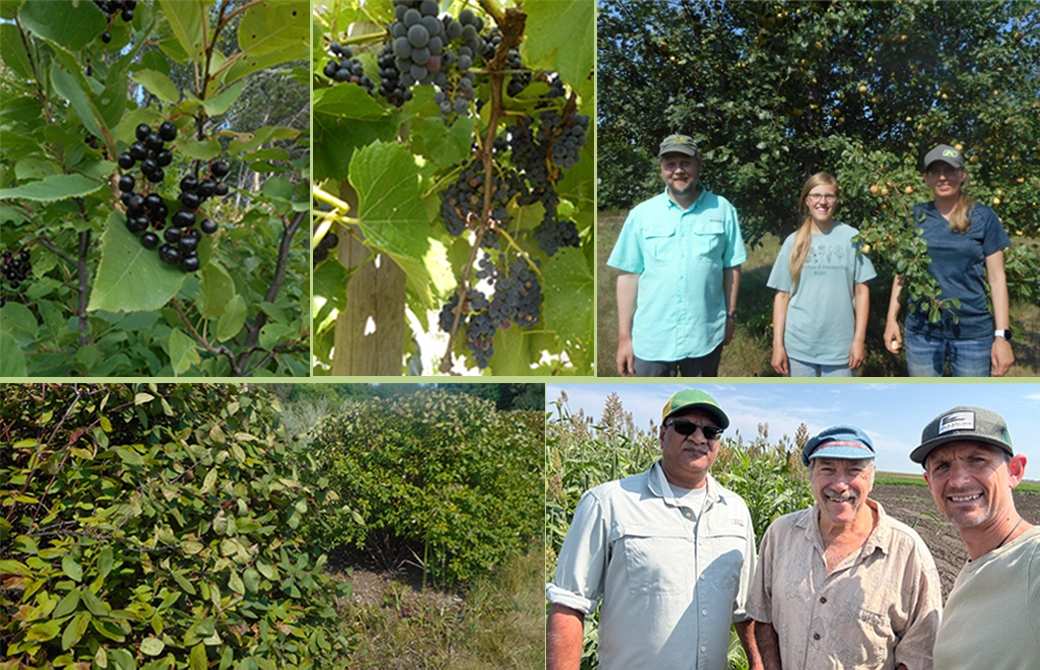 Farm staff & crops