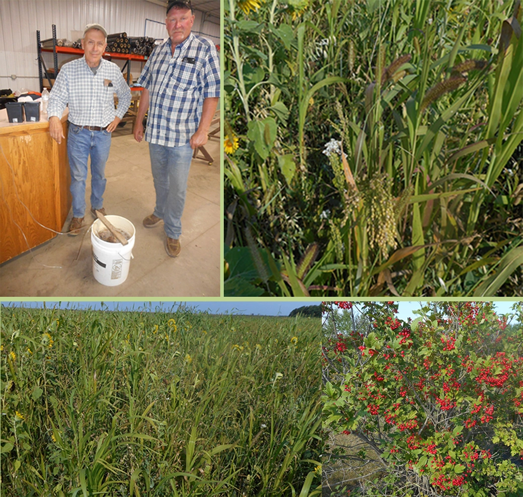 farm crops, staff